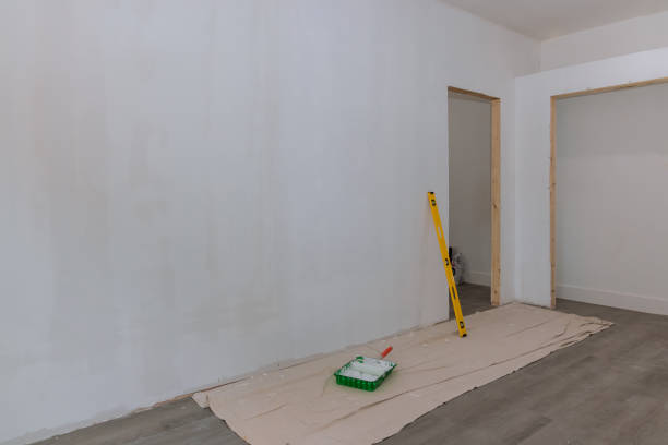  , USA Dry wall and painting Pros